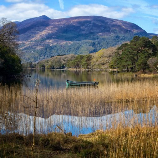 ESCAPE TO KILLARNEY