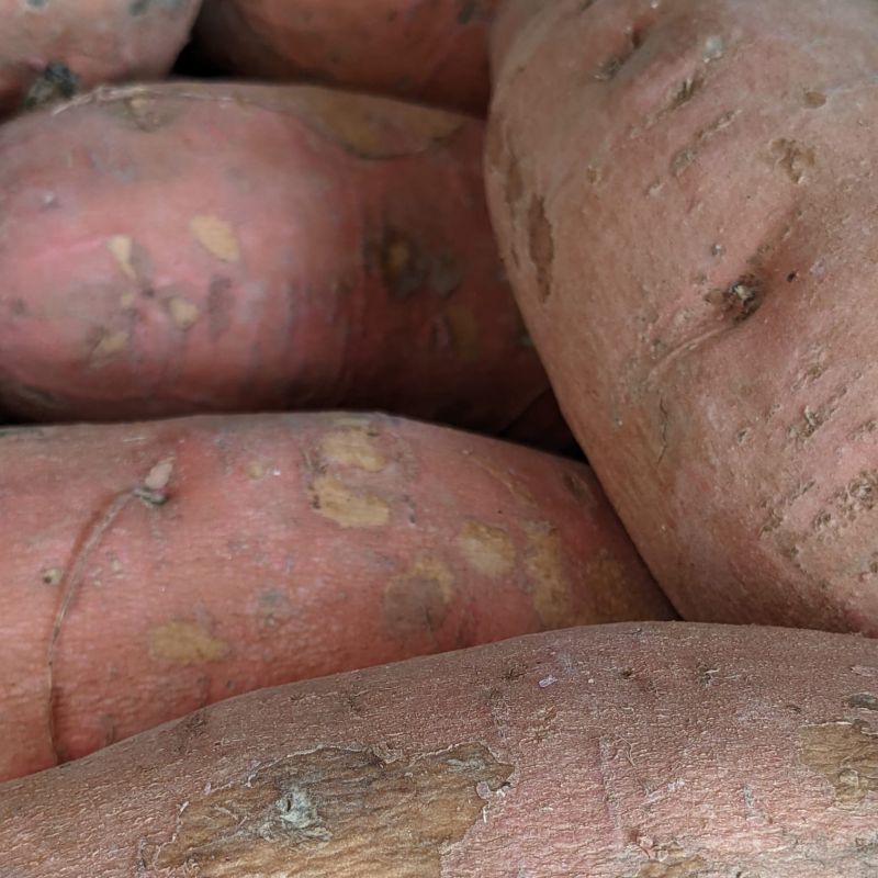 Fenit Fruit & Veg Sweet Potato
