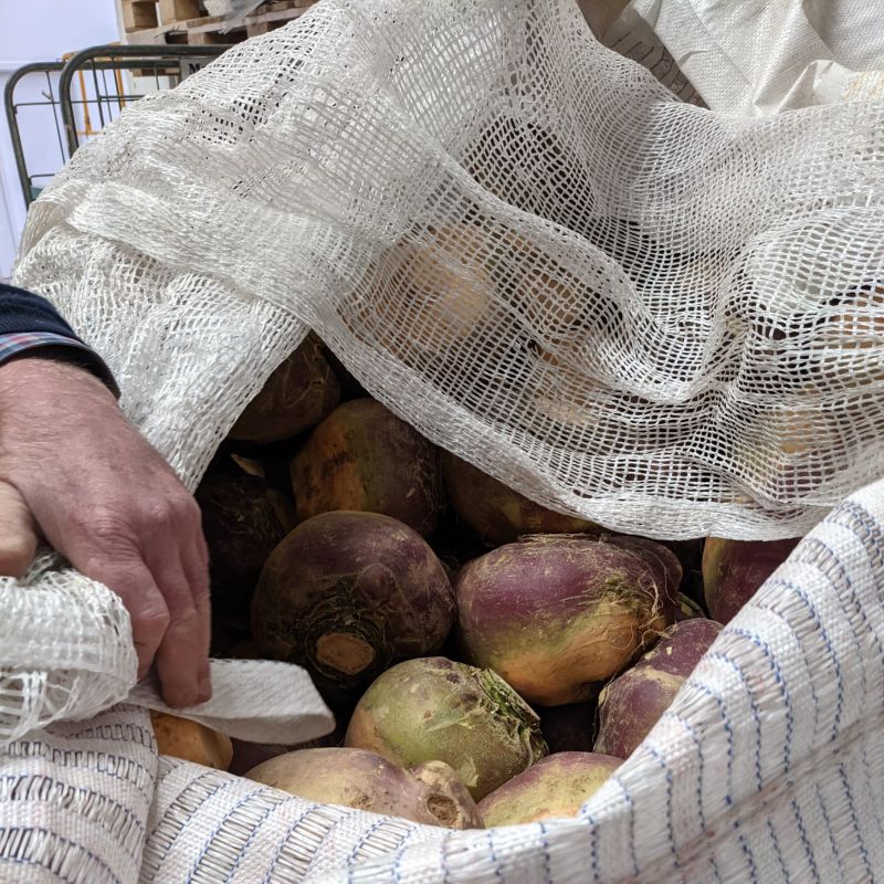 Willie Parker showing us Fenit Fruit & Veg's Turnips