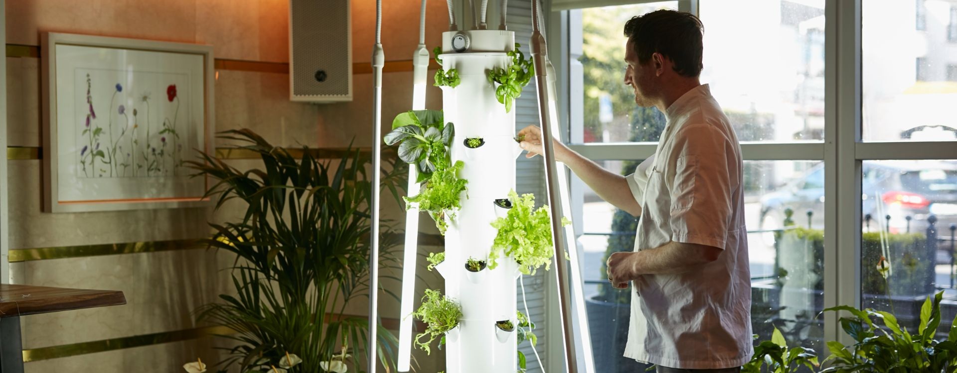 hydroponic hand picking tower