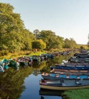 Rows of small boats are moored along a narrow, calm river surrounded by green trees and grass under a clear sky.