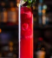 A tall glass filled with a vibrant red cocktail, ice, and garnished with mint and a lime slice, set against a blurred bar background.