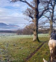 A group of people ride horses along a dirt path in a grassy, tree-lined landscape with mountains and a lake in the background under a cloudy sky.