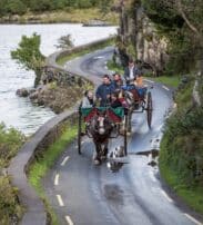 Two horse-drawn carriages carrying people travel along a narrow, winding road beside a lake and rocky hillside.