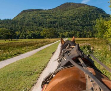View from behind a horse pulling a carriage on a country road, with green fields, trees, and a forested hill ahead under a blue sky.