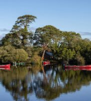 Several red and one green boat are moored along the edge of a calm lake, surrounded by lush green trees with their reflections visible in the water under a clear blue sky.