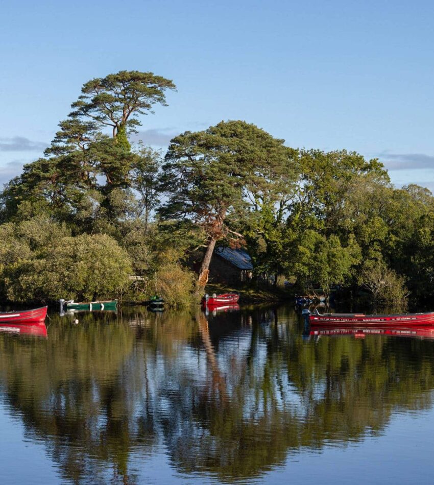 Several red and one green boat are moored along the edge of a calm lake, surrounded by lush green trees with their reflections visible in the water under a clear blue sky.