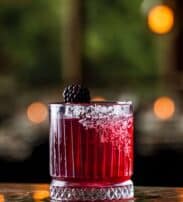 A glass of red cocktail with a salted rim, garnished with a blackberry, sits on a reflective surface with blurred lights in the background.