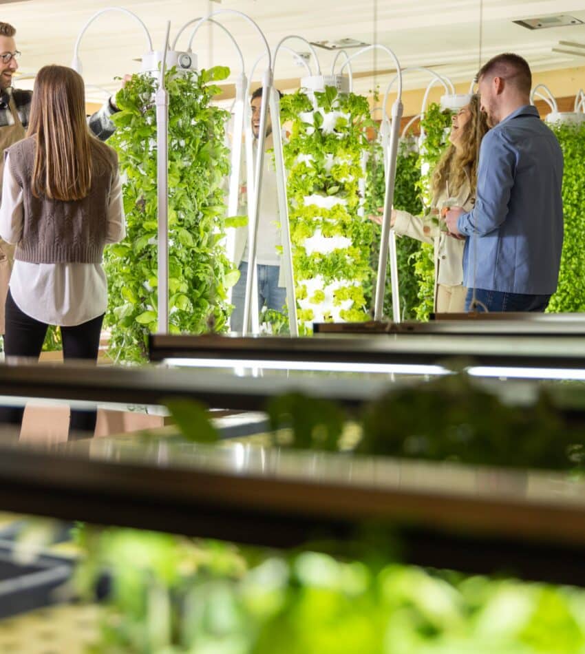 Four people stand and talk next to vertical hydroponic gardens with leafy green plants in an indoor farming facility.
