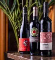 Three bottles of red wine are displayed upright on a marble surface with green leaves and wooden panelling in the background.