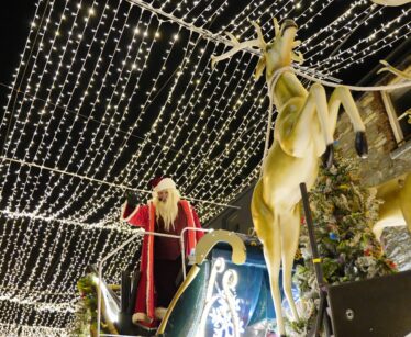 Father Christmas sits in a decorated sleigh under a canopy of fairy lights, with reindeer figures in front and Christmas trees in the background.