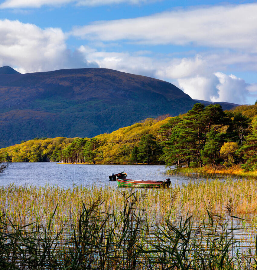 A small boat floats on a lake surrounded by tall grass and dense green trees, with mountains and a partly cloudy sky in the background.