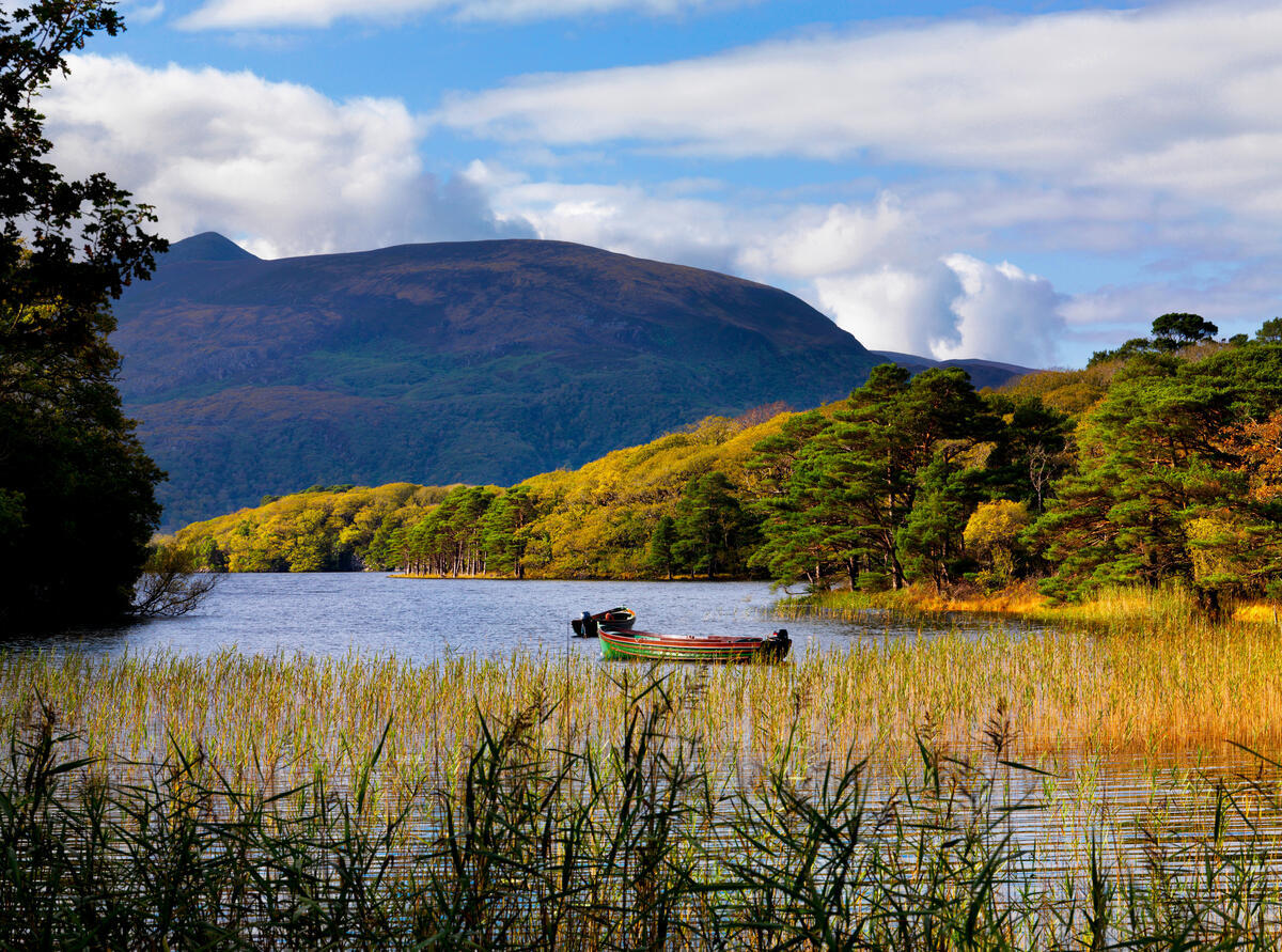 A small boat floats on a lake surrounded by tall grass and dense green trees, with mountains and a partly cloudy sky in the background.