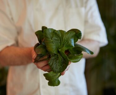 A person in a white shirt holding a bunch of fresh green leafy vegetables with both hands.