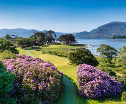 Stunning lakeside view with blooming flowers and mountains at serene hotel garden, ideal for a peaceful retreat.