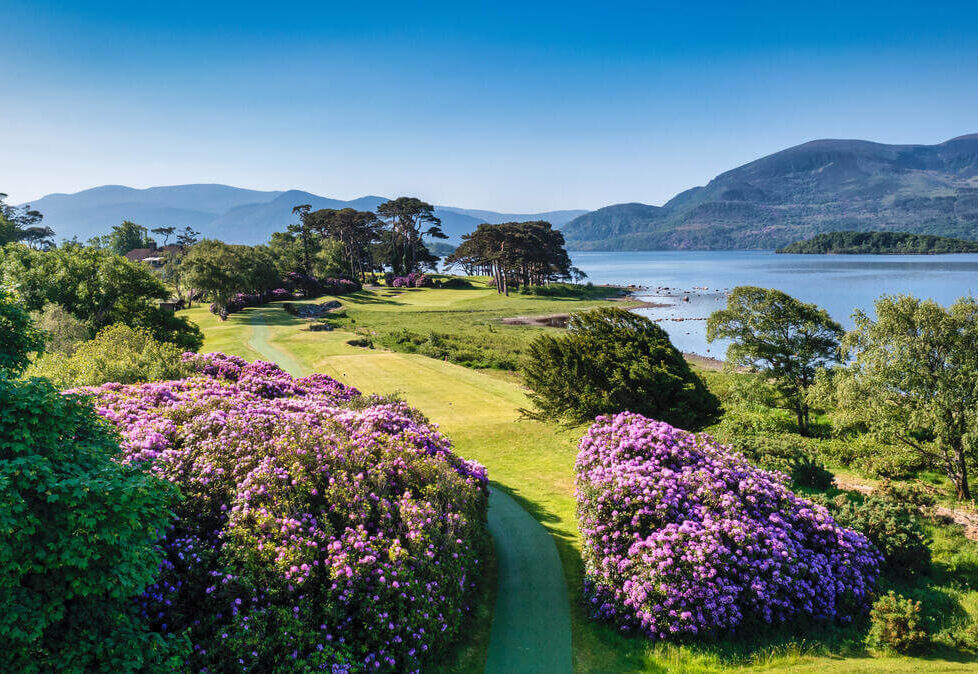 Stunning lakeside view with blooming flowers and mountains at serene hotel garden, ideal for a peaceful retreat.