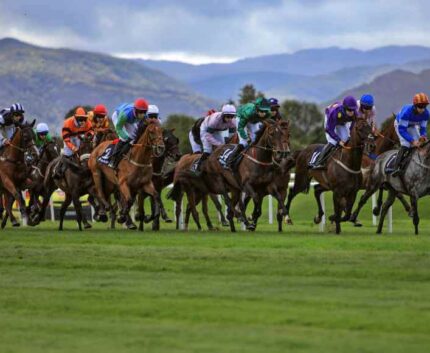 Guests enjoy thrilling horse race with scenic mountain views at nearby track, perfect for equestrian enthusiasts.