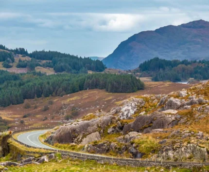 Scenic mountain view with winding road and lush greenery near the hotel, ideal for nature hikes and countryside drives.