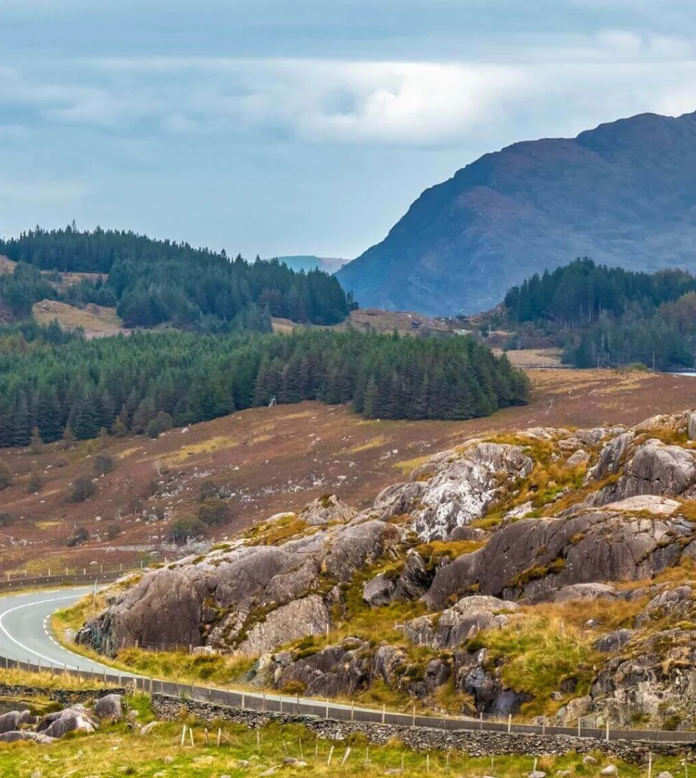 Scenic mountain view with winding road and lush greenery near the hotel, ideal for nature hikes and countryside drives.