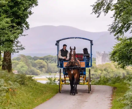 Horse-drawn carriage on scenic path near lake and castle, lush greenery, serene mountains, inviting countryside experience.