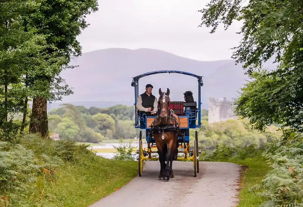 Horse-drawn carriage on scenic path near lake and castle, lush greenery, serene mountains, inviting countryside experience.