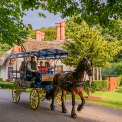 Guests enjoying a horse-drawn carriage ride through lush gardens near a picturesque cottage at a countryside hotel.