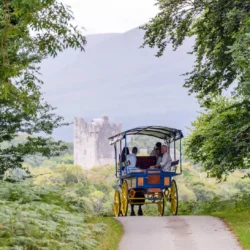 Horse-drawn carriage with two passengers on a scenic path, lush greenery, and distant castle view, offering a serene experience.