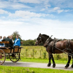 Guests enjoying a scenic horse-drawn carriage ride through lush countryside near a charming hotel.