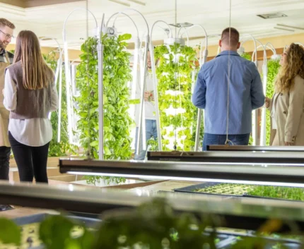 Guests explore indoor hydroponic garden, surrounded by lush greenery, at eco-friendly hotel, enhancing sustainable stay.